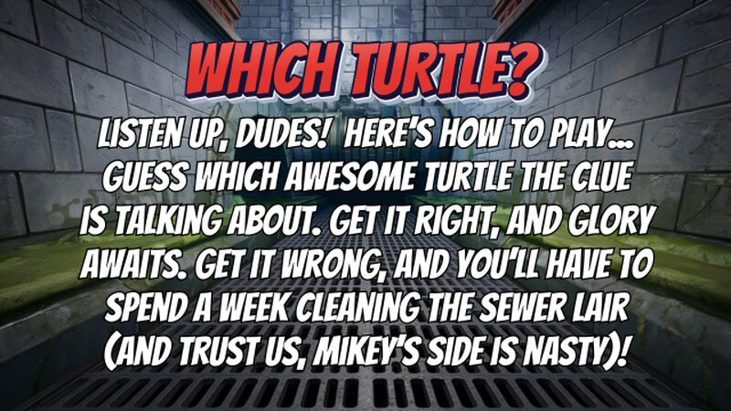 Which Turtle?